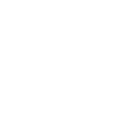 pmo-pro-icon-white-200x200